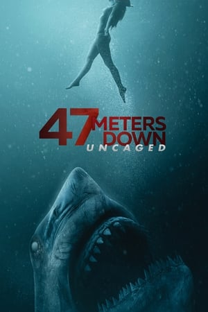47 Meters Down: Uncaged (2019) Hindi Dual Audio 400MB HD Poster Download - Filmyzilla