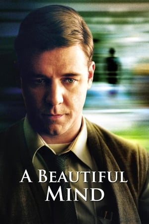 A Beautiful Mind 2001 Hindi Dual Audio 450MB HD Poster Download - Filmyzilla