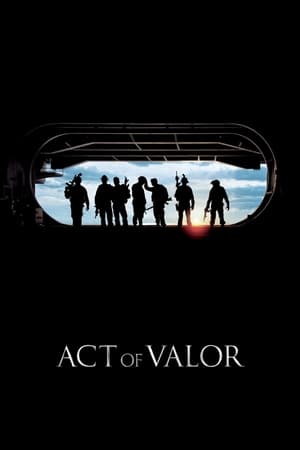 Act of Valor (2012) Hindi Dual Audio 390MB HD Poster Download - Filmyzilla