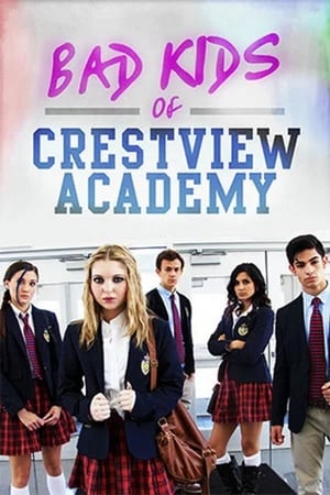 Bad Kids of Crestview Academy (2017) Hindi Dual Audio 330MB HD Poster Download - Filmyzilla