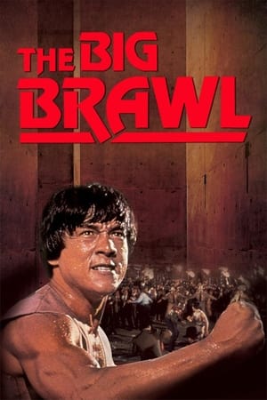 Battle Creek Brawl (1980) Hindi Dual Audio 300MB HD Poster Download - Filmyzilla