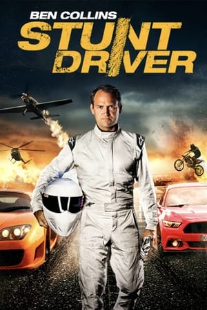 Ben Collins Stunt Driver (2015) Hindi Dual Audio 260MB HD Poster Download - Filmyzilla