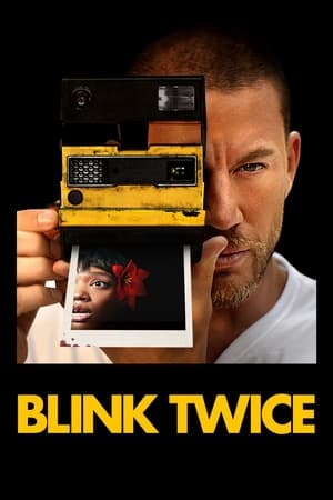 Blink Twice 2024 Hindi Dual Audio HD Poster Download - Filmyzilla