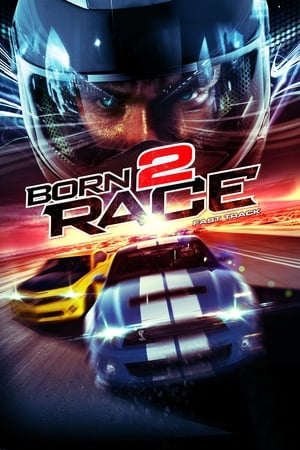 Born to Race Fast Track 2014 Hindi Dual Audio 320MB HD Poster Download - Filmyzilla