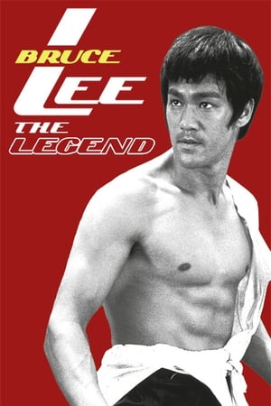Bruce Lee the Legend 1984 Hindi Dual Audio HDTVRip 300MB HD Poster Download - Filmyzilla