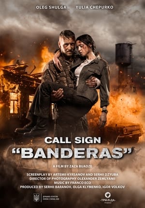 Call Sign Banderas (2018) Hindi Dual Audio – HD Poster Download - Filmyzilla