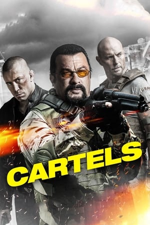 Cartels 2017 Hindi Dual Audio [900MB] HD Poster Download - Filmyzilla