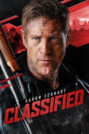 Classified 2024 Hindi Subbed HD Poster Download - Filmyzilla