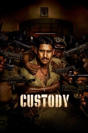 Custody 2023 Hindi (ORG) Dubbed HDTVRip – HD Poster Download - Filmyzilla