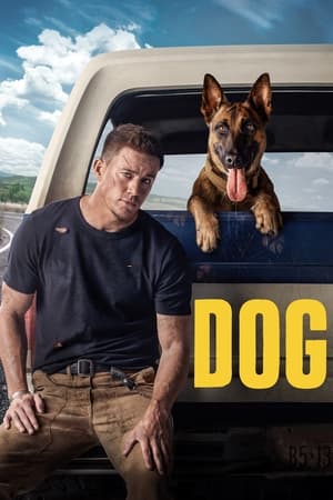 Dog (2022) Hindi Dual Audio – HD Poster Download - Filmyzilla