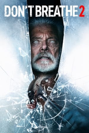 Don’t Breathe 2 (2021) Hindi Dual Audio 400MB HD Poster Download - Filmyzilla