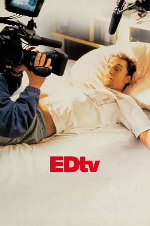 Edtv (1999) Hindi Dual Audio [950MB] HD Poster Download - Filmyzilla