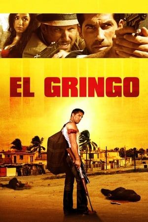 El Gringo (2012) Hindi Dual Audio 300MB HD Poster Download - Filmyzilla