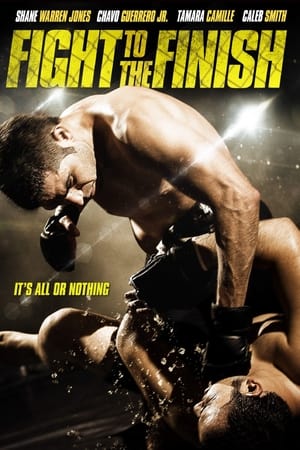 Fight To The Finish (2016) Hindi Dual Audio With ESubs HD Poster Download - Filmyzilla