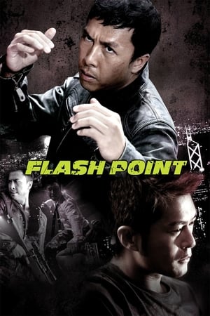 Flash Point (2007) Hindi Dual Audio [1GB] HD Poster Download - Filmyzilla