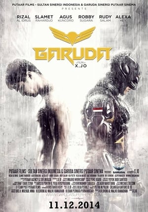 Garuda Superhero (2015) Hindi Dubbed 300MB HD Poster Download - Filmyzilla