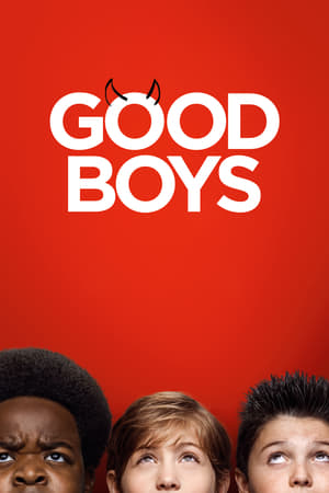 Good Boys (2019) Hindi Dual Audio [900MB] HD Poster Download - Filmyzilla