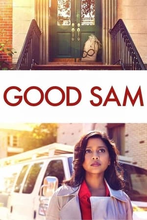 Good Sam 2019 Hindi Dual Audio 300MB HD Poster Download - Filmyzilla