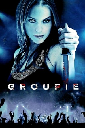 Groupie (2010) Hindi Dual Audio [1.1GB] HD Poster Download - Filmyzilla