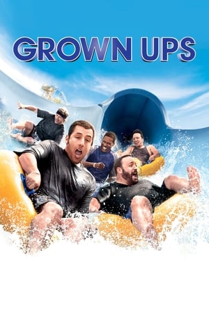 Grown Ups (2010) Hindi Dual Audio [800MB] HD Poster Download - Filmyzilla
