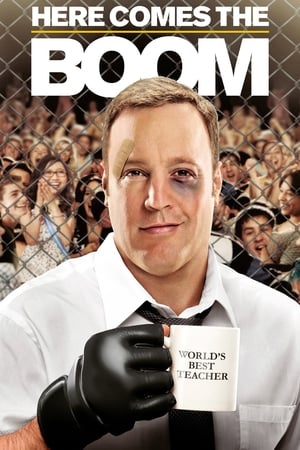 Here Comes the Boom 2012 Hindi Dual Audio – HD Poster Download - Filmyzilla