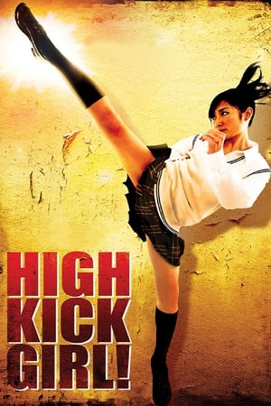 High Kick Girl (2009) 100mb Hindi Dual Audio movie Download HD Poster Download - Filmyzilla