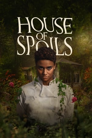 House of Spoils (2024) Hindi Dual Audio HD Poster Download - Filmyzilla