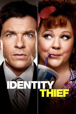 Identity Thief (2013) Hindi Dual Audio [1GB] HD Poster Download - Filmyzilla