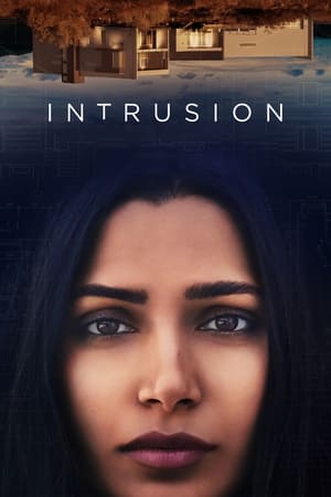 Intrusion (2021) Hindi Dual Audio 400MB HD Poster Download - Filmyzilla