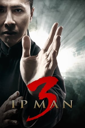 Ip Man 3 (2015) Hindi Dual Audio 400MB HD Poster Download - Filmyzilla