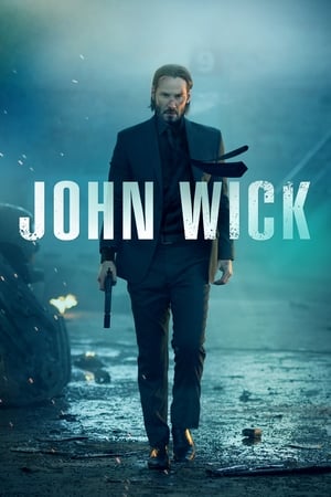 John Wick (2014) Hindi Dual Audio [900MB] ESubs HD Poster Download - Filmyzilla