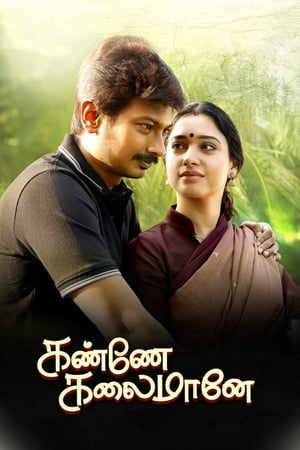 Kanne Kalaimaane 2019 (Hindi -Tamil) Dual Audio [1GB] HD Poster Download - Filmyzilla