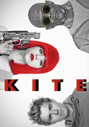 Kite 2014 Dual Audio Hindi Movie - 1GB HD Poster Download - Filmyzilla