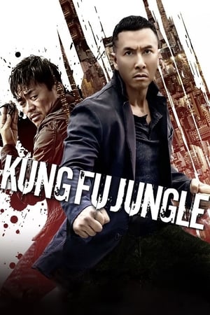 Kung Fu Jungle (2014) Hindi Dual Audio 300MB HD Poster Download - Filmyzilla