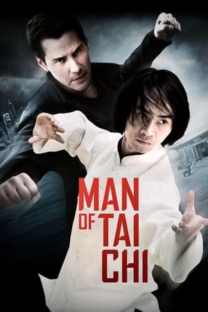 Man of Tai Chi (2013) Hindi Dual Audio – HD Poster Download - Filmyzilla