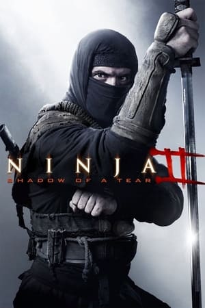 Ninja Shadow of a Tear 2013 Hindi Dual Audio [800MB] HD Poster Download - Filmyzilla