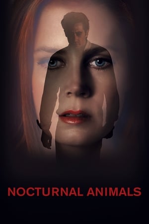 Nocturnal Animals (2016) Hindi Dual Audio 380MB HD Poster Download - Filmyzilla