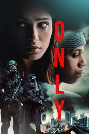 Only 2019 Hindi Dual Audio 300MB HD Poster Download - Filmyzilla