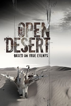 Open Desert (2013) Hindi Dual Audio – HD Poster Download - Filmyzilla
