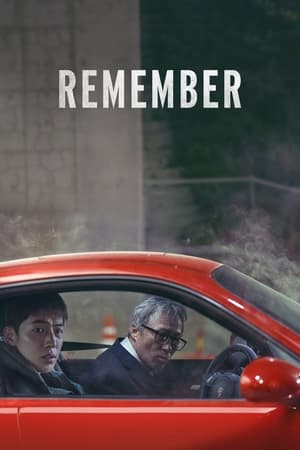 Remember (2022) Hindi Dual Audio – 720p – HD Poster Download - Filmyzilla