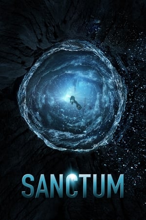 Sanctum (2011) Hindi Dual Audio 400MB HD Poster Download - Filmyzilla