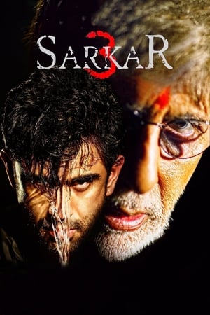 Sarkar 3 2017 350MB Full Movie Download HD Poster Download - Filmyzilla