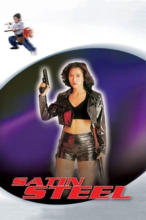 Satin Steel (1994) Hindi Dual Audio [700MB] HD Poster Download - Filmyzilla