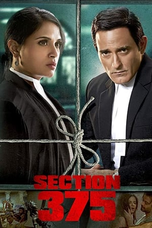 Section 375 (2019) Hindi Movie [980MB] HD Poster Download - Filmyzilla