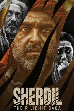Sherdil 2022 Hindi Movie – HD Poster Download - Filmyzilla