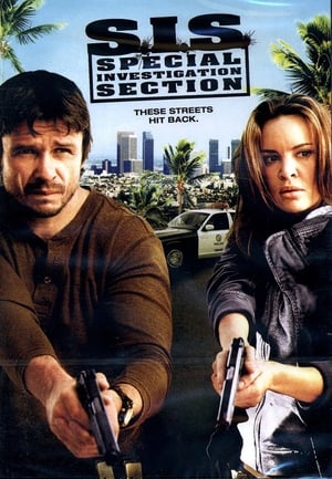 SIS Special Investigation Section 2008 Hindi Dual Audio [1.1GB] HD Poster Download - Filmyzilla