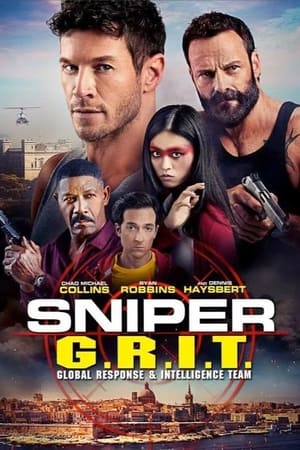 Sniper GRIT Global Response and Intelligence Team 2023 Hindi Dual Audio – HD Poster Download - Filmyzilla
