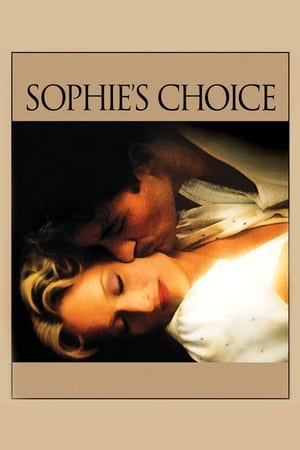 Sophie's Choice (1982) Dual Audio Hindi 460MB HD Poster Download - Filmyzilla