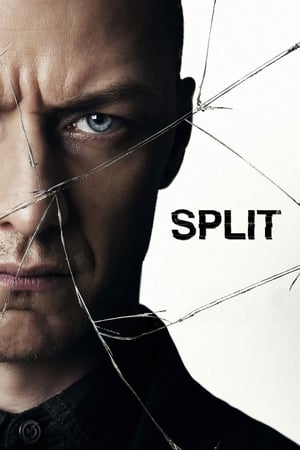 Split (2016) Movie HC [900MB] Download HD Poster Download - Filmyzilla