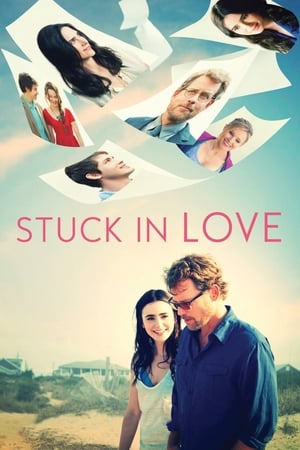 Stuck in Love (2012) Hindi Dual Audio [850MB] HD Poster Download - Filmyzilla